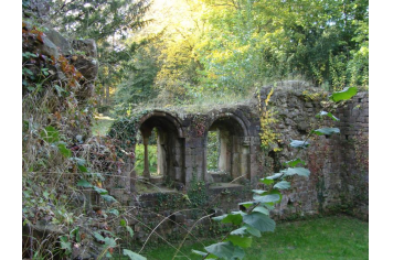 Ruines du Chateaux Altkaller à Ottrott 